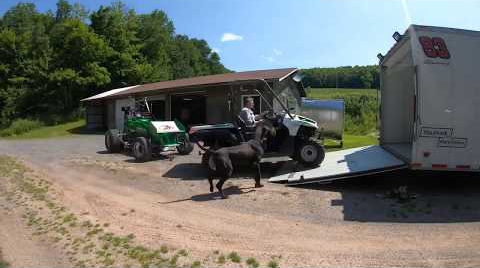 Loading our Sprint Car on Race Day - Dustin Purdy Racing